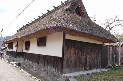 DSC_1043.jpg
