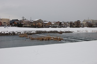 DSC_0031.jpg