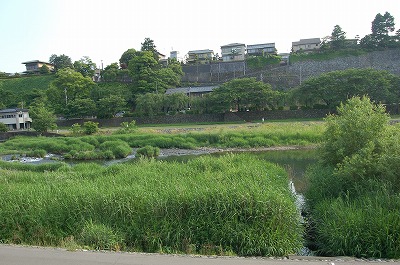 DSC_0392.jpg