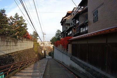 DSC_0429.jpg