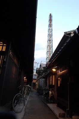 DSC_0786.jpg